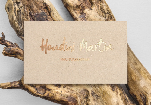 Shelldon Font PNG with transparent background - Preview 4
