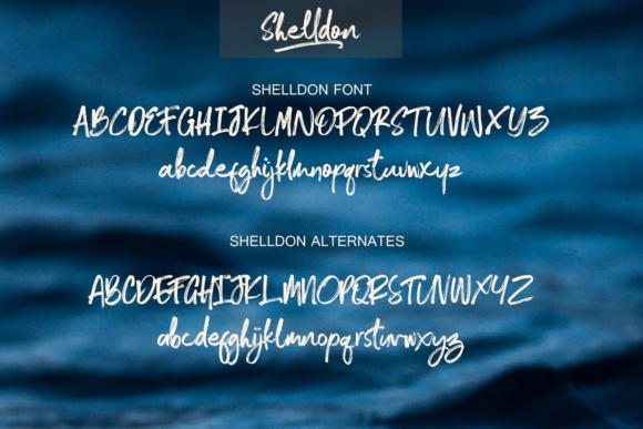 Shelldon Font PNG with transparent background - Preview 6