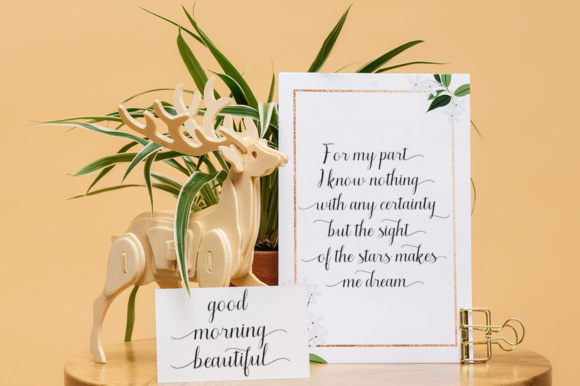 Amellya Script Font - Preview 2