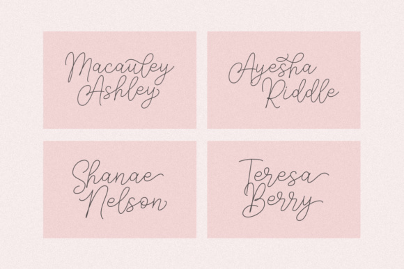 Andien Nidya Duo Font - Preview 4