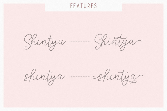 Andien Nidya Duo Font - Preview 5