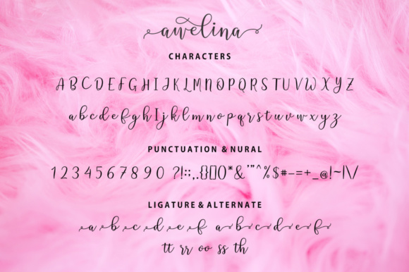 Awelina Script Font - Preview 6