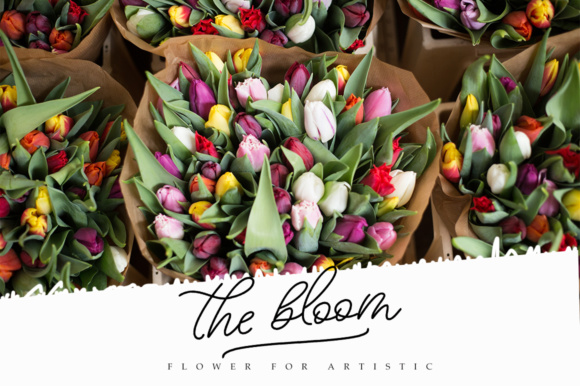 Beloved Script Font - Preview 6
