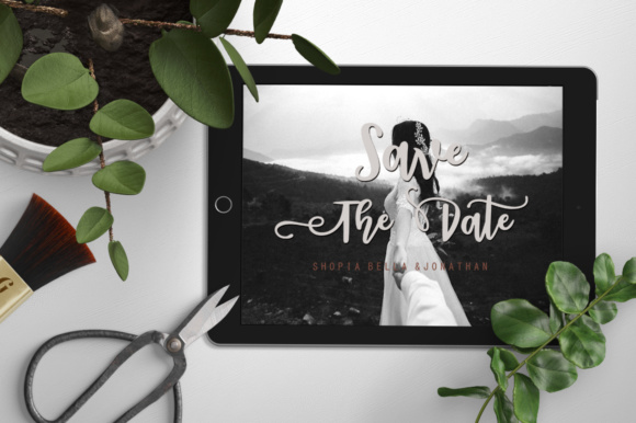 Bentonite Script Font - Preview 2