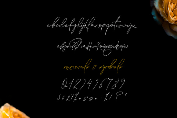 Blanc Seing Font - Preview 3