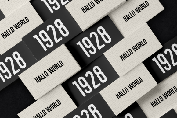 Bronx Family Font - Preview 4