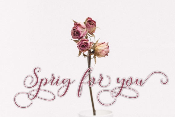 Callme Script Font - Preview 3