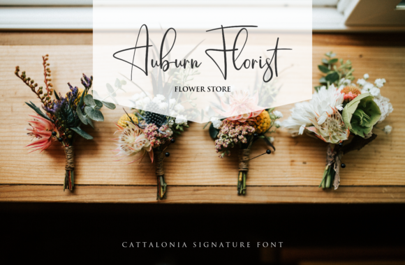 Cattalonia Font - Preview 3