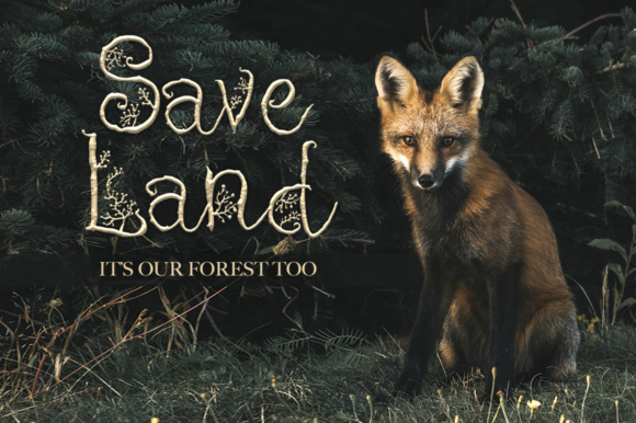 Cheshire Font - Preview 3