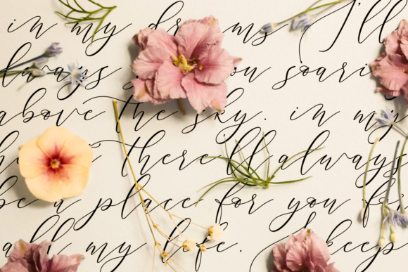 Cintha Font PNG with transparent background - Preview 5