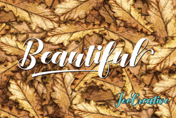 Denmahis Script Font - Preview 2