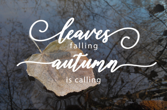 Diantha Script Font - Preview 3