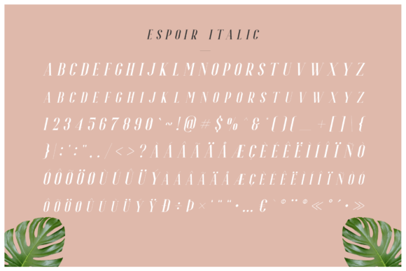 Espoir Font - Preview 6