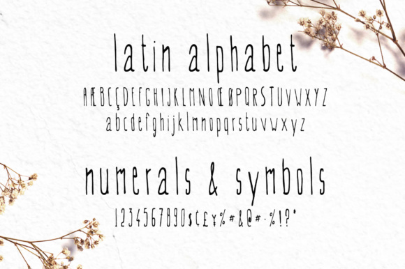Evey Font - Preview 1