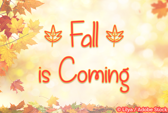 Fall is Coming playful handwritten font — bouncy typeface for back-to-school and autumn promotions