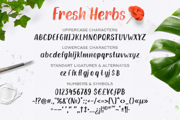 Fresh Herbs Font - Preview 5