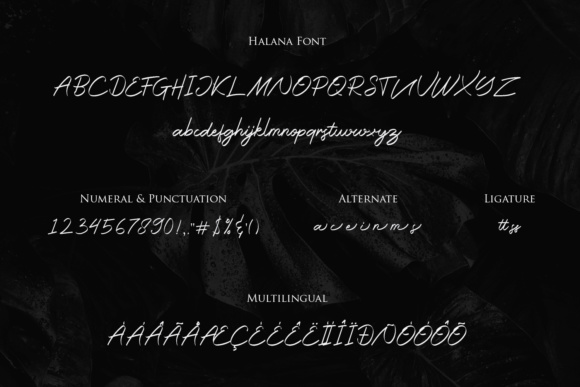 Halana Font - Preview 6