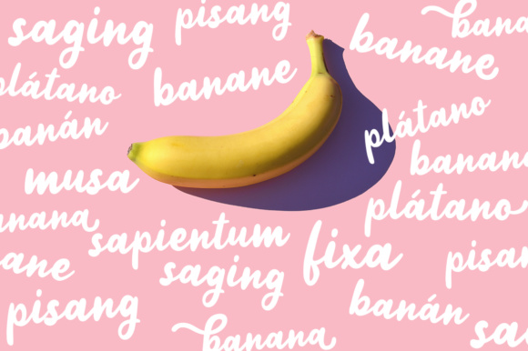 Jelly Bean Font - Preview 4