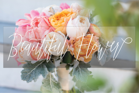 Jummiten Font PNG with transparent background - Preview 2