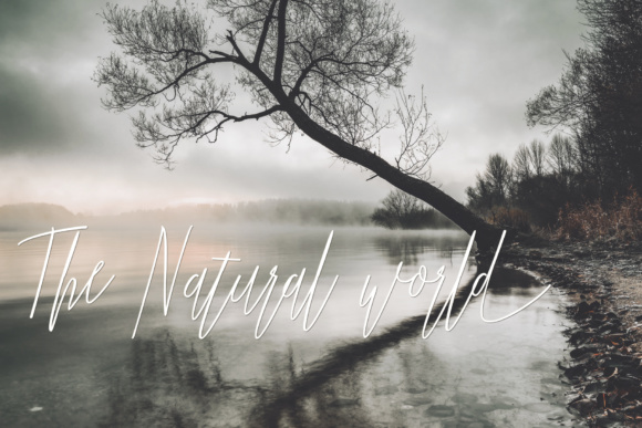 Jummiten Font PNG with transparent background - Preview 3