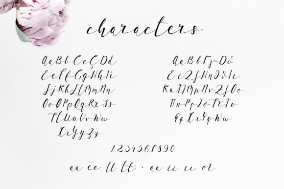 Lil'Baby Script Font PNG with transparent background - Preview 1
