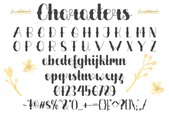Lilytulip Script Font PNG with transparent background - Preview 4
