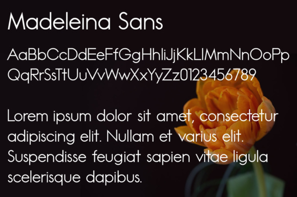 Madeleina Font PNG with transparent background - Preview 1