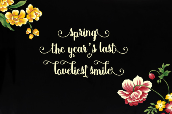 Aggie Marder Script Font - Preview 1