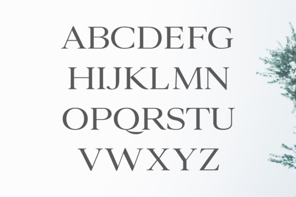 Ammar Family Font PNG with transparent background - Preview 1