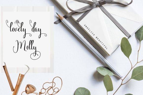 Angelica Font - Preview 5