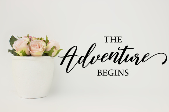 Austina Script Font - Preview 3