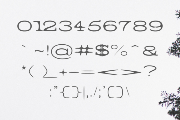Barric Family Font - Preview 2