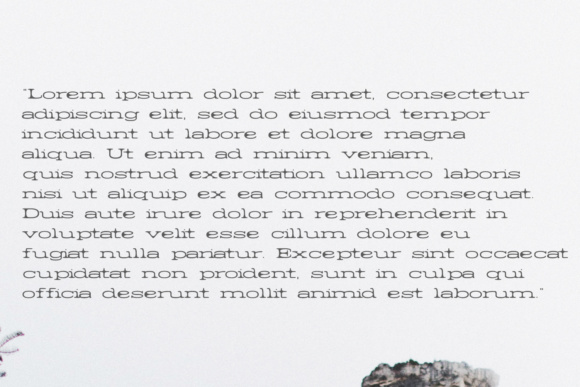 Barric Family Font - Preview 5