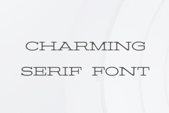 Barric Family Font - Preview 6