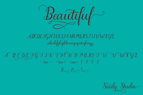Beautiful Script Font - Preview 5