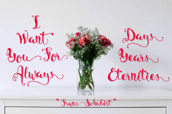Bellanche Font - Preview 2