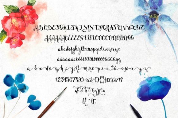 Bellanche Font - Preview 3