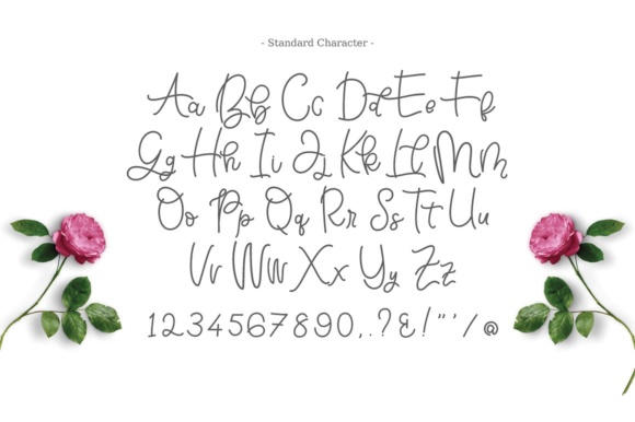 Bellinda Script Font - Preview 4