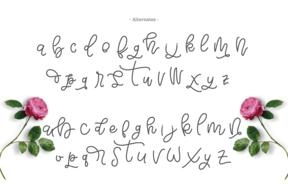 Bellinda Script Font - Preview 5