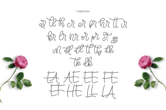Bellinda Script Font - Preview 6