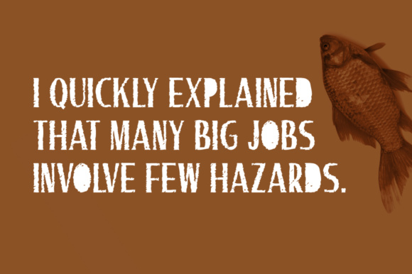 Brown Fish Font - Preview 2