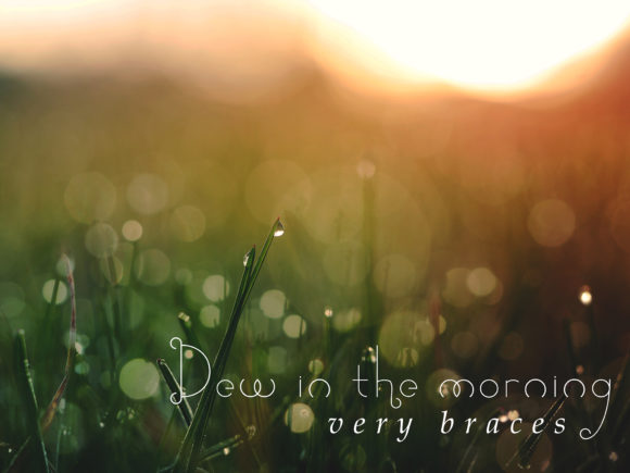Bulleud Font - Preview 5