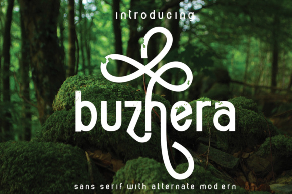 Buzhera Font - Preview 1