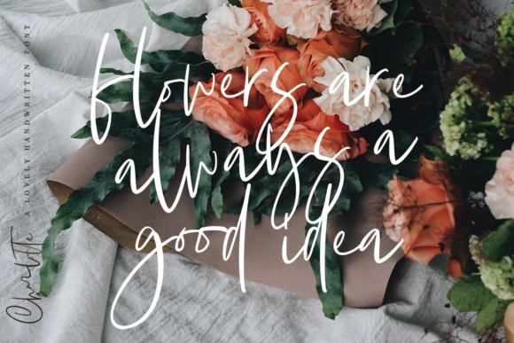 Charlotte Font - Preview 3
