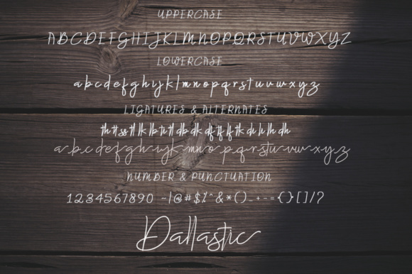 Dallastic Script Font - Preview 4