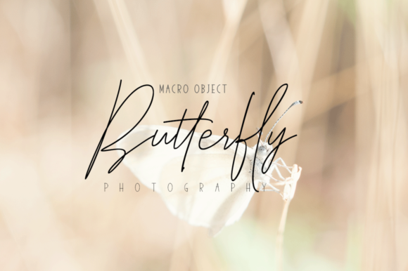 Elegantly & Modest Duo Font - Preview 5