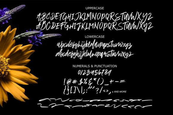 Formabbis Font - Preview 6