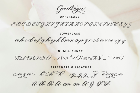 Gratteya Script Font - Preview 6