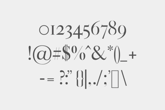 Gunma Family Font - Preview 2