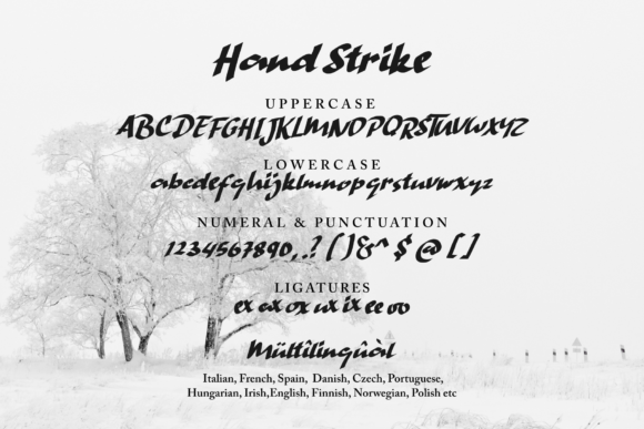 Hand Strike Font - Preview 1